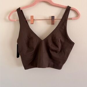 Nike SKIMS Chocolate Brown V-Neck Crop Sports Bra